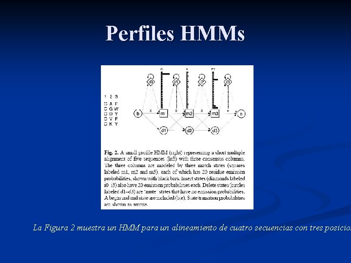 Perfiles HMMs La Figura 2 muestra un HMM para un alineamiento de cuatro secuencias