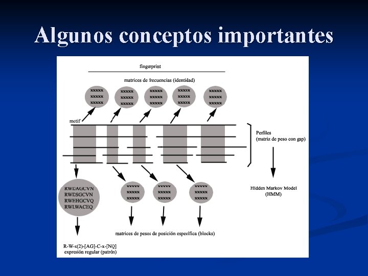 Algunos conceptos importantes 