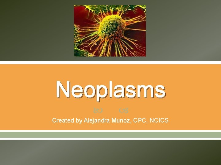 Neoplasms Created by Alejandra Munoz, CPC, NCICS 