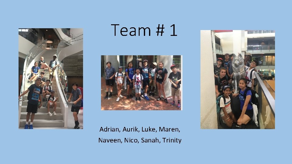 Team # 1 Adrian, Aurik, Luke, Maren, Naveen, Nico, Sanah, Trinity 