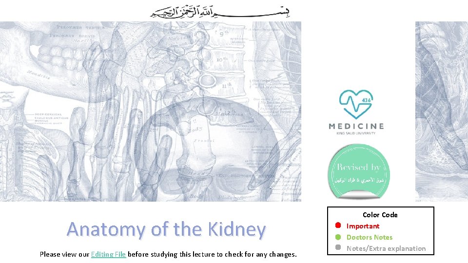 Anatomy of the Kidney Please view our Editing File before studying this lecture to