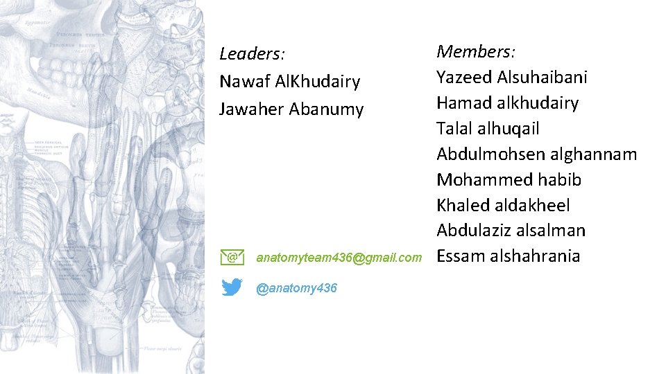 Leaders: Nawaf Al. Khudairy Jawaher Abanumy anatomyteam 436@gmail. com @anatomy 436 Members: Yazeed Alsuhaibani