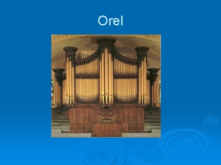 Orel 