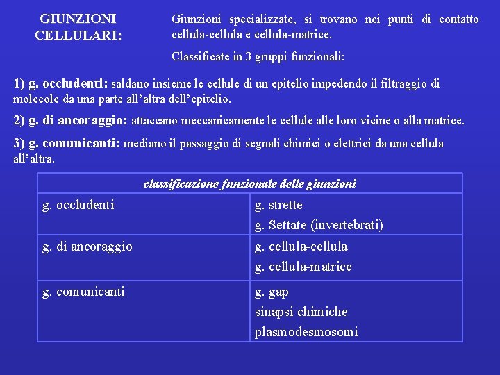 GIUNZIONI CELLULARI: Giunzioni specializzate, si trovano nei punti di contatto cellula-cellula e cellula-matrice. Classificate