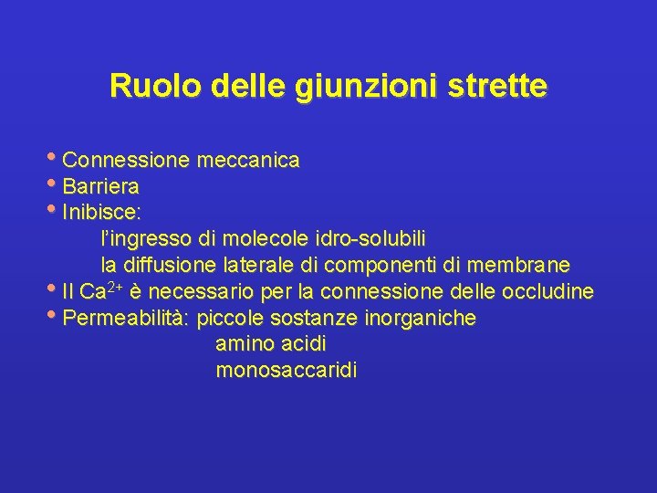 Ruolo delle giunzioni strette • Connessione meccanica • Barriera • Inibisce: l’ingresso di molecole