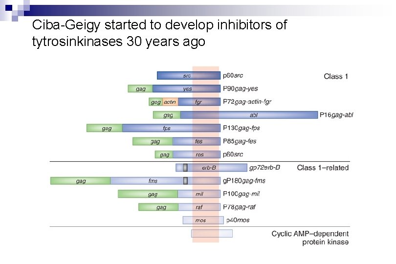 Ciba-Geigy started to develop inhibitors of tytrosinkinases 30 years ago Ciba-Geigy started to develop inhibitors of tytrosinkinases 30 years ago