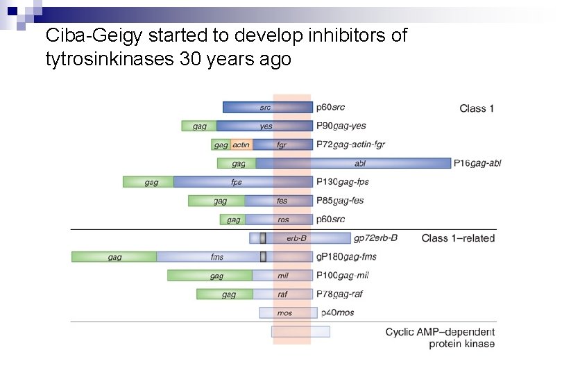 Ciba-Geigy started to develop inhibitors of tytrosinkinases 30 years ago 