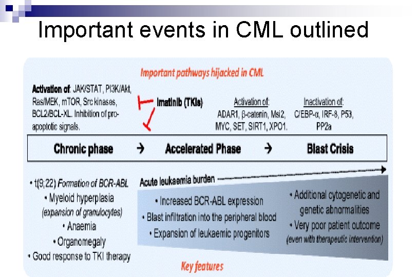 Important events in CML outlined Important events in CML outlined