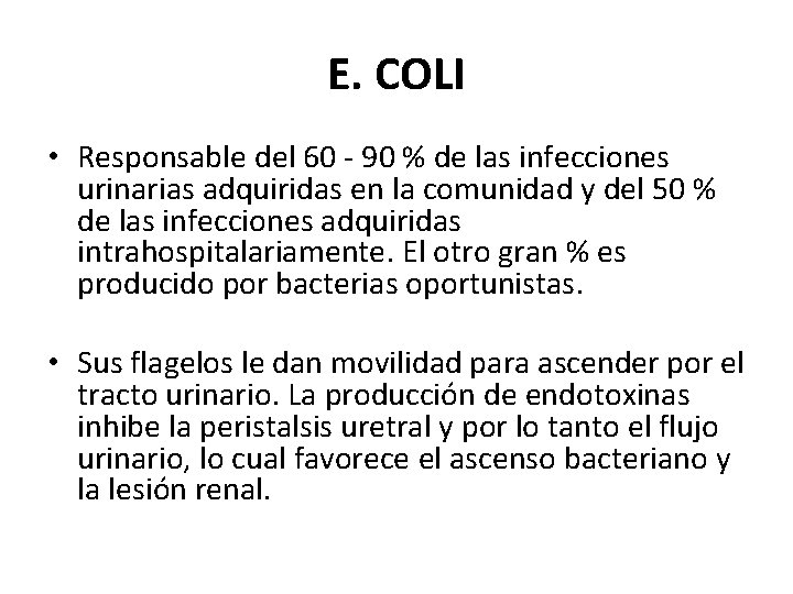 E. COLI • Responsable del 60 - 90 % de las infecciones urinarias adquiridas