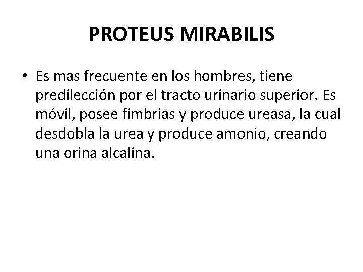 PROTEUS MIRABILIS • Es mas frecuente en los hombres, tiene predilección por el tracto