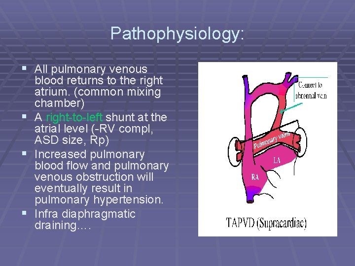 Pathophysiology: § All pulmonary venous blood returns to the right atrium. (common mixing chamber)