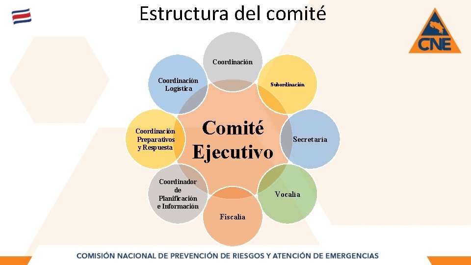 Estructura del comité Coordinación Logística Coordinación Preparativos y Respuesta Subordinación Comité Ejecutivo Coordinador de