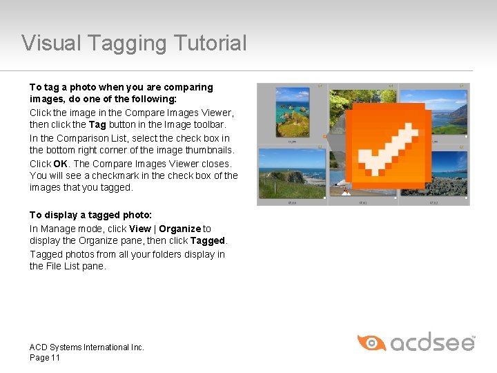 Visual Tagging Tutorial To tag a photo when you are comparing images, do one