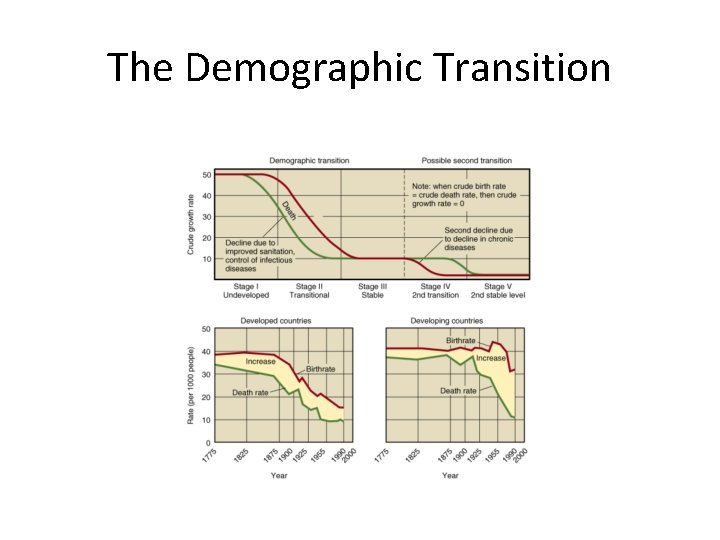 The Demographic Transition 