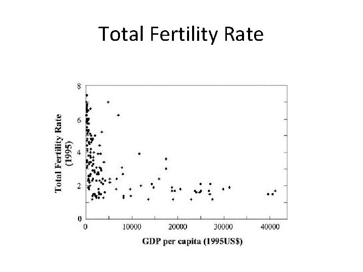 Total Fertility Rate 