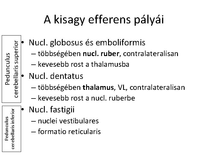 Pedunculus cerebellaris inferior Pedunculus cerebellaris superior A kisagy efferens pályái • Nucl. globosus és