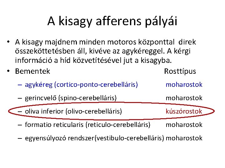 A kisagy afferens pályái • A kisagy majdnem minden motoros központtal direk összeköttetésben áll,