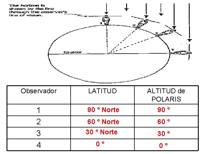 Observador LATITUD 1 2 3 4 90 ° Norte 90 ° 60 ° Norte