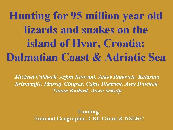 Hunting for 95 million year old lizards and snakes on the island of Hvar,