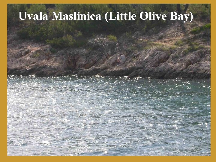 Uvala Maslinica (Little Olive Bay) 