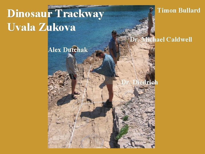 Dinosaur Trackway Uvala Zukova Timon Bullard Dr. Michael Caldwell Alex Dutchak Dr. Diedrich 
