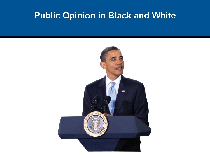 Public Opinion in Black and White 