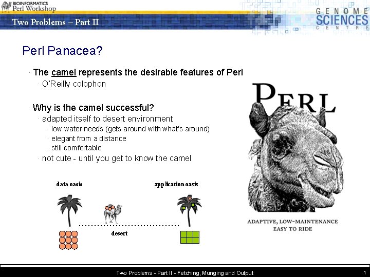 Two Problems – Part II Perl Panacea? · The camel represents the desirable features