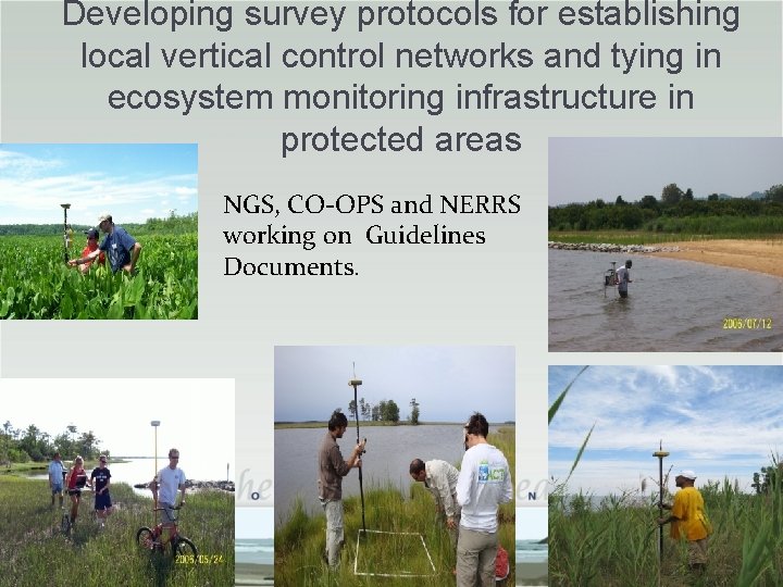 Developing survey protocols for establishing local vertical control networks and tying in ecosystem monitoring Developing survey protocols for establishing local vertical control networks and tying in ecosystem monitoring