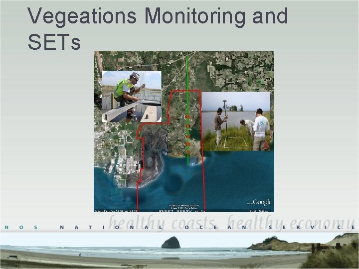 Vegeations Monitoring and SETs Vegeations Monitoring and SETs