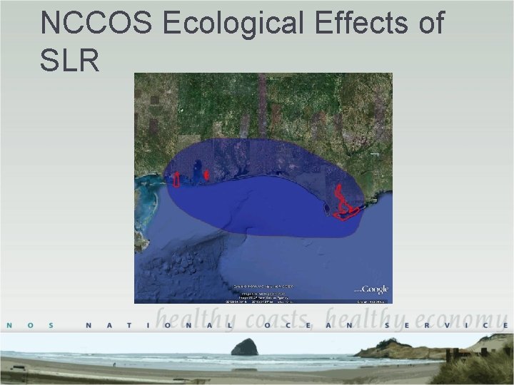 NCCOS Ecological Effects of SLR NCCOS Ecological Effects of SLR