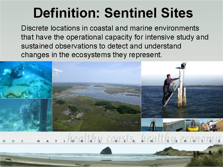 Definition: Sentinel Sites Discrete locations in coastal and marine environments that have the operational Definition: Sentinel Sites Discrete locations in coastal and marine environments that have the operational