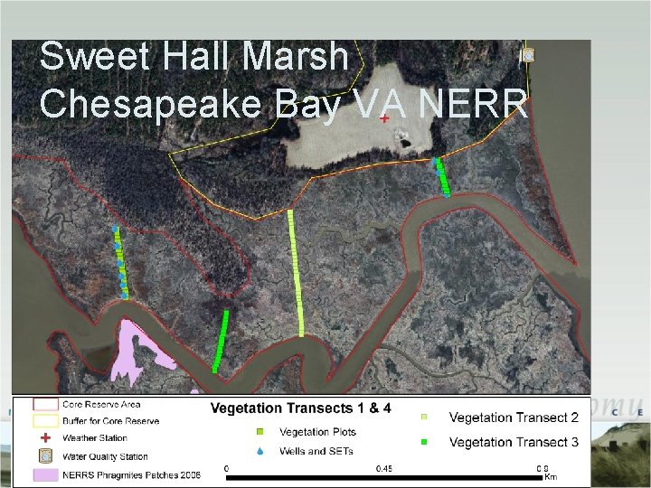 Sweet Hall Marsh Chesapeake Bay VA NERR Sweet Hall Marsh Chesapeake Bay VA NERR