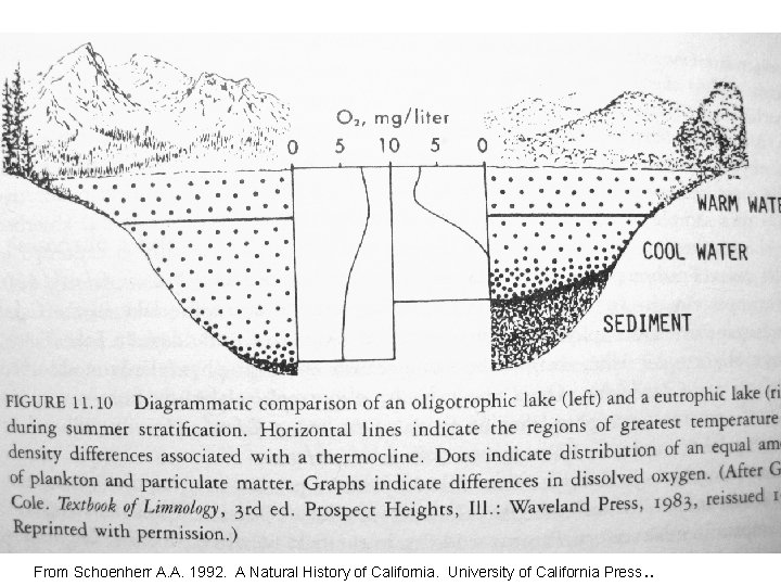 From Schoenherr A. A. 1992. A Natural History of California. University of California Press.