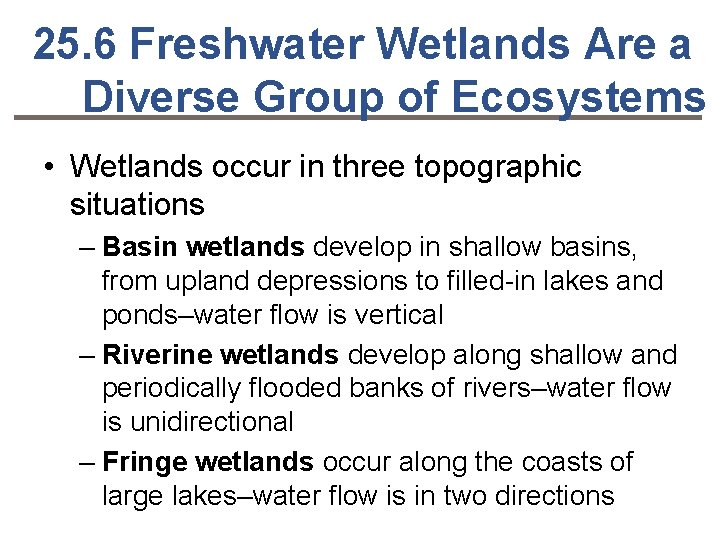 25. 6 Freshwater Wetlands Are a Diverse Group of Ecosystems • Wetlands occur in