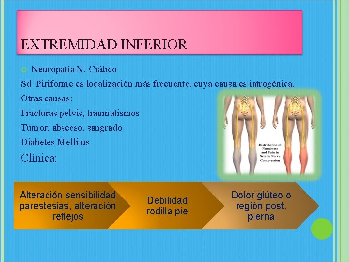 EXTREMIDAD INFERIOR Neuropatía N. Ciático Sd. Piriforme es localización más frecuente, cuya causa es