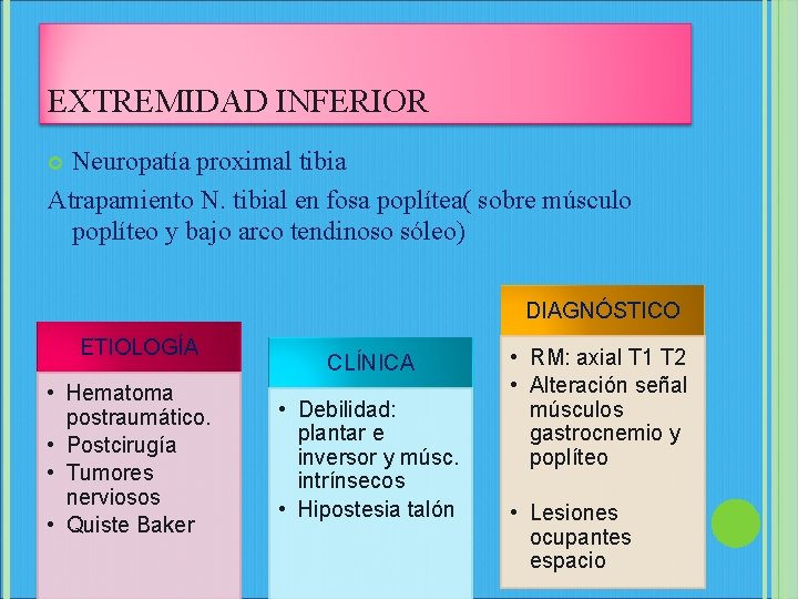 EXTREMIDAD INFERIOR Neuropatía proximal tibia Atrapamiento N. tibial en fosa poplítea( sobre músculo poplíteo