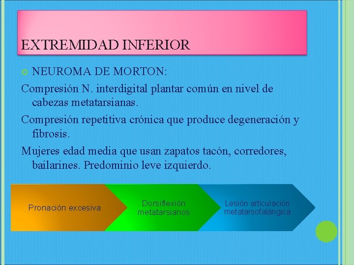 EXTREMIDAD INFERIOR NEUROMA DE MORTON: Compresión N. interdigital plantar común en nivel de cabezas