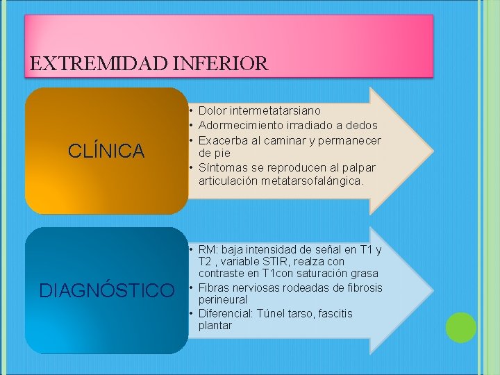 EXTREMIDAD INFERIOR CLÍNICA • Dolor intermetatarsiano • Adormecimiento irradiado a dedos • Exacerba al