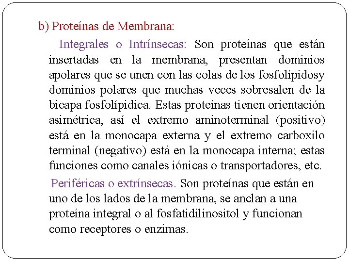 b) Proteínas de Membrana: Integrales o Intrínsecas: Son proteínas que están insertadas en la