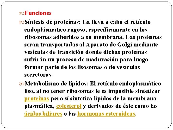  Funciones Síntesis de proteínas: La lleva a cabo el retículo endoplásmatico rugoso, específicamente