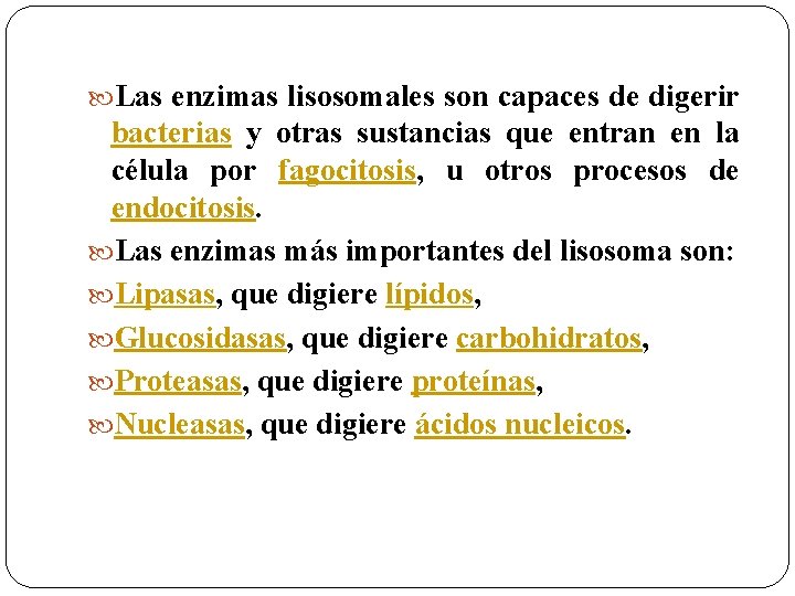  Las enzimas lisosomales son capaces de digerir bacterias y otras sustancias que entran