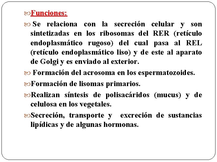  Funciones: Se relaciona con la secreción celular y son sintetizadas en los ribosomas