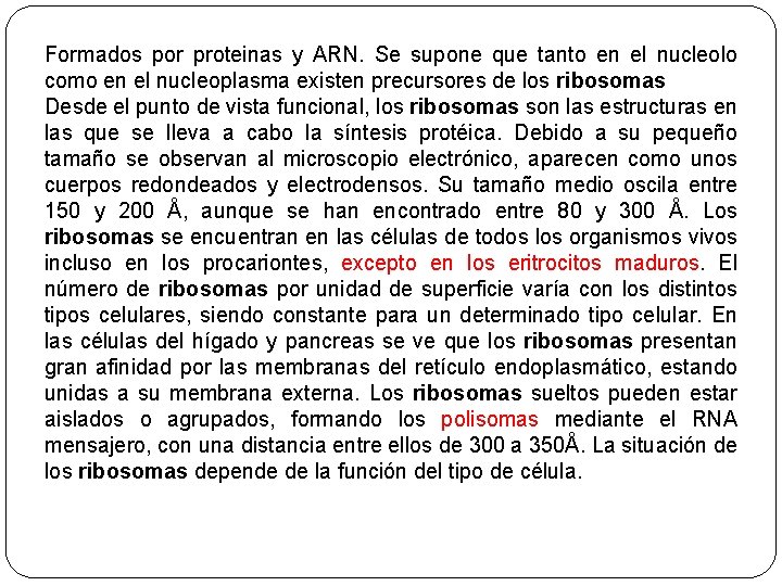 Formados por proteinas y ARN. Se supone que tanto en el nucleolo como en