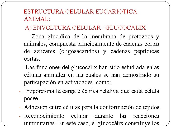  ESTRUCTURA CELULAR EUCARIOTICA ANIMAL: A) ENVOLTURA CELULAR : GLUCOCALIX Zona glucídica de la