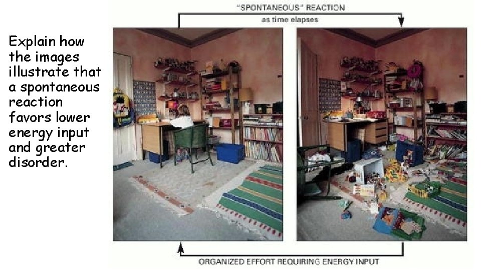 Explain how the images illustrate that a spontaneous reaction favors lower energy input and Explain how the images illustrate that a spontaneous reaction favors lower energy input and