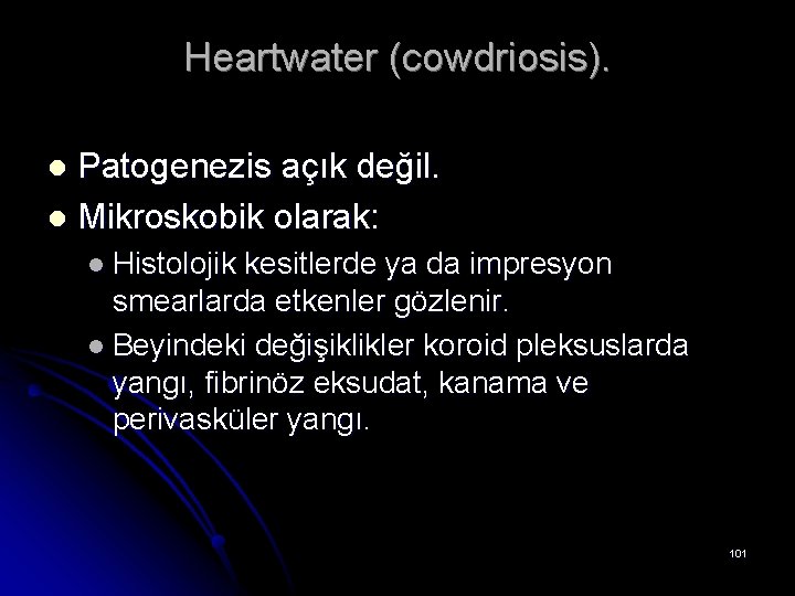 Heartwater (cowdriosis). Patogenezis açık değil. l Mikroskobik olarak: l l Histolojik kesitlerde ya da