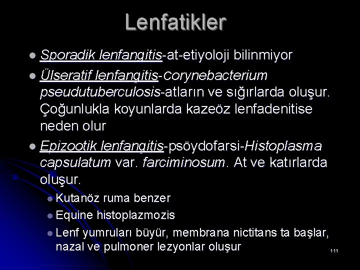 Lenfatikler l Sporadik lenfangitis-at-etiyoloji bilinmiyor l Ülseratif lenfangitis-Corynebacterium pseudutuberculosis-atların ve sığırlarda oluşur. Çoğunlukla koyunlarda