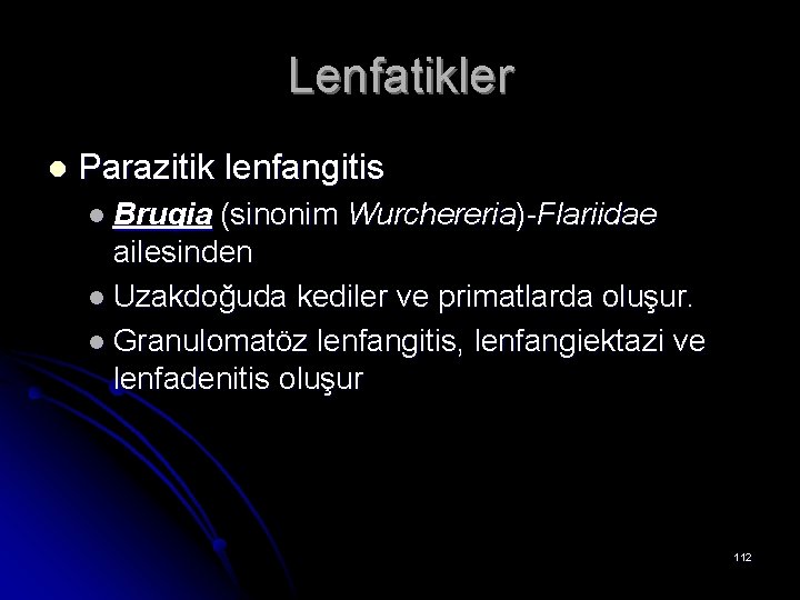 Lenfatikler l Parazitik lenfangitis l Brugia (sinonim Wurchereria)-Flariidae ailesinden l Uzakdoğuda kediler ve primatlarda