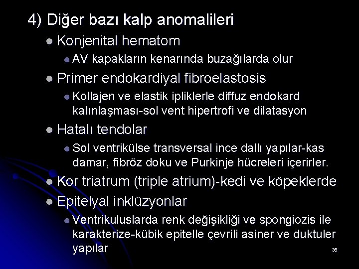 4) Diğer bazı kalp anomalileri l Konjenital l AV hematom kapakların kenarında buzağılarda olur