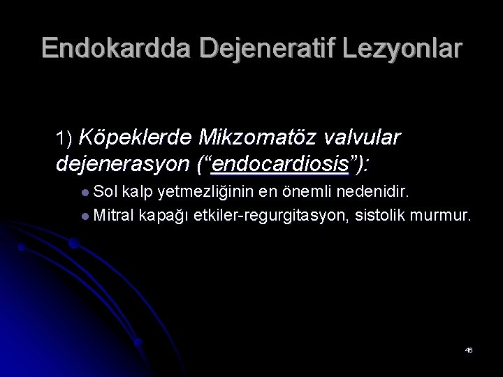 Endokardda Dejeneratif Lezyonlar 1) Köpeklerde Mikzomatöz valvular dejenerasyon (“endocardiosis”): l Sol kalp yetmezliğinin en